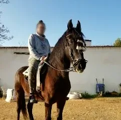 Fiona, 31